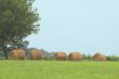 Hay Bales