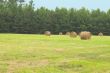 Hay Bales