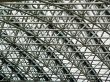Background - a trellised roof