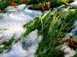Snow on grass