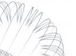 Bent Wire against White