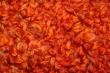 Red Orange Textile