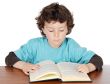 adorable boy studying