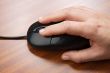 Mouse in hand