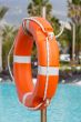 Lifebuoy