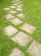 Garden path