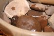 Hot Stones