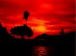 brilliant sunset silhouette