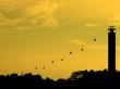 cable car silhouette