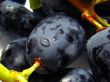 black and juicy grapes close up