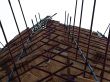 Working scaffold