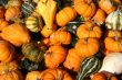 Gourds