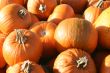 Pumpkins and Gourds