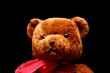 Teddy Isolated Black