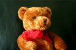 Teddy