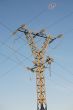 Power lines
