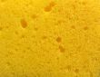 Sponge