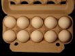 Eggs 3