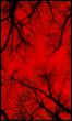 Veins of nature