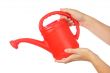 WATERING-CAN