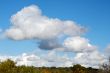 clouds and plants