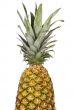 Tropical fruit