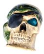 pirate head