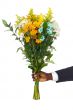 hand giving flowers