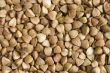 buckwheat