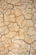 Parched earth