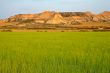 Green field and hills
