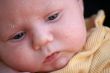 sweet baby