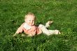 in the sunshine