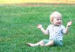 on the meadow