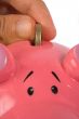 business savings on piggy bank - closeup