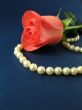 Pink rose and pearls