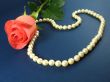Pink rose and pearls
