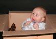 Living in a box