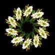 Fractal stars