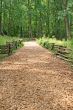 Wood Chip Trail