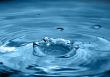 Splash