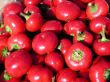 radishes