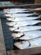 salty dried fish