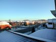 winter morning with snow