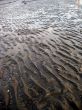 mud flats