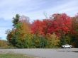 Autumn Colors