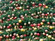Field of christmas decoration