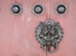 a door decoration of Chi lin Nunnery
