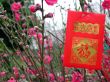 Chinese red bag money