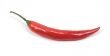 Red chili pepper